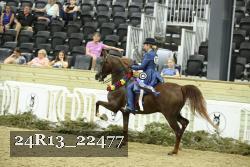 24R13_22477 thumbnail