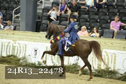 24R13_22478 thumbnail