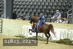 24R13_22479 thumbnail