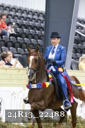 24R13_22488 thumbnail