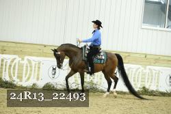24R13_22493 thumbnail