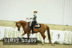 24R13_22499 thumbnail