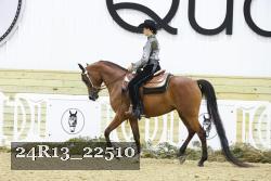 24R13_22510 thumbnail