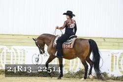 24R13_22514 thumbnail