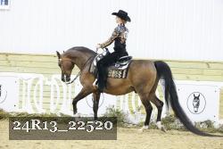 24R13_22520 thumbnail