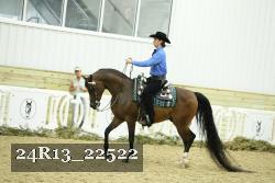 24R13_22522 thumbnail