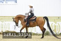 24R13_22524 thumbnail