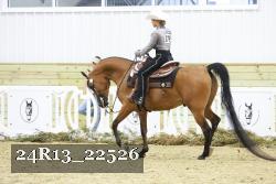 24R13_22526 thumbnail