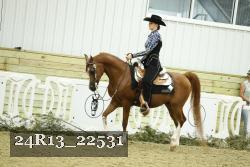 24R13_22531 thumbnail