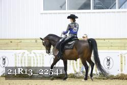 24R13_22541 thumbnail