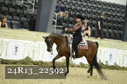 24R13_22592 thumbnail