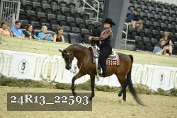 24R13_22593 thumbnail
