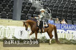 24R13_22599 thumbnail
