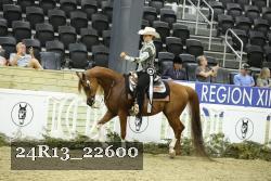 24R13_22600 thumbnail