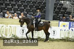 24R13_22610 thumbnail