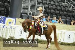24R13_22614 thumbnail