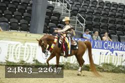 24R13_22617 thumbnail