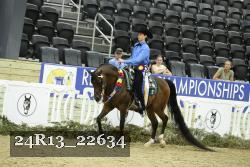 24R13_22634 thumbnail