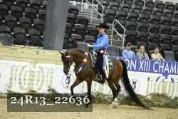 24R13_22636 thumbnail