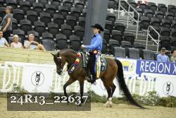 24R13_22637 thumbnail