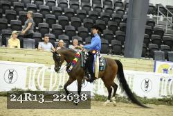 24R13_22638 thumbnail