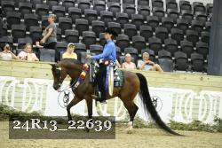 24R13_22639 thumbnail