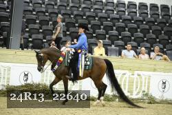 24R13_22640 thumbnail
