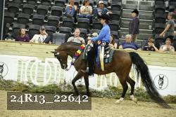 24R13_22642 thumbnail