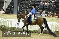 24R13_22643 thumbnail