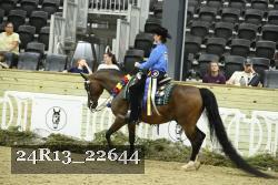 24R13_22644 thumbnail