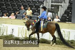 24R13_22645 thumbnail