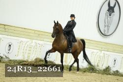 24R13_22661 thumbnail
