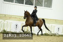 24R13_22662 thumbnail