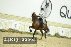 24R13_22664 thumbnail