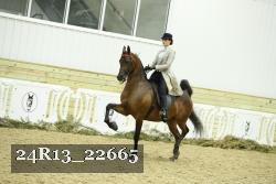 24R13_22665 thumbnail