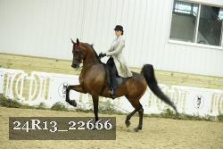 24R13_22666 thumbnail