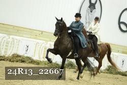24R13_22667 thumbnail