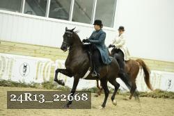 24R13_22668 thumbnail