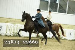 24R13_22669 thumbnail
