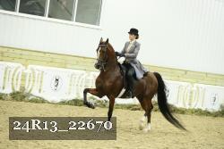 24R13_22670 thumbnail