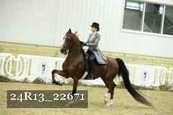 24R13_22671 thumbnail