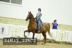 24R13_22672 thumbnail