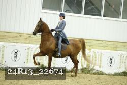 24R13_22674 thumbnail