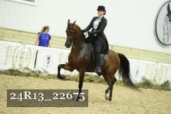 24R13_22675 thumbnail