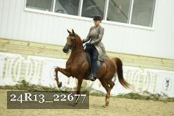 24R13_22677 thumbnail