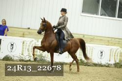 24R13_22678 thumbnail