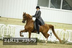 24R13_22679 thumbnail