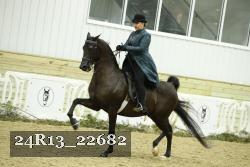 24R13_22682 thumbnail