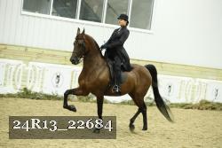 24R13_22684 thumbnail