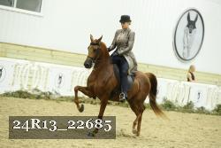 24R13_22685 thumbnail
